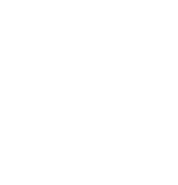 UTM Grid/WGS 84 projections