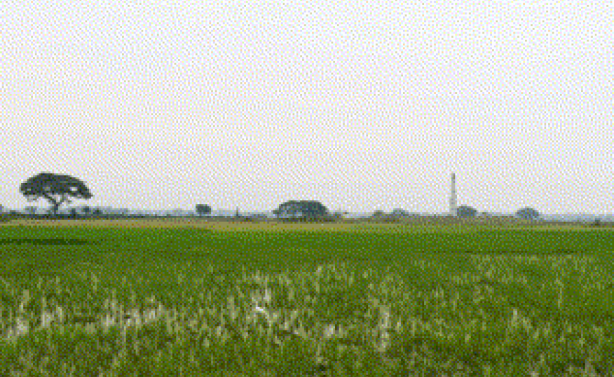 Image of kisaan drone camera resolution.